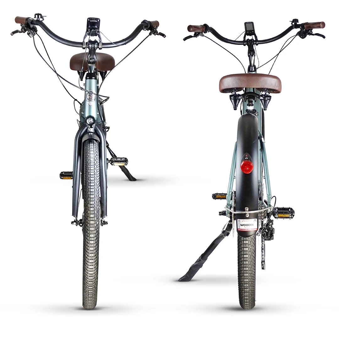 Woodee Coastliner Swan | E-Bike Beachcruiser | Mittelmotor | 140KM Reichweite