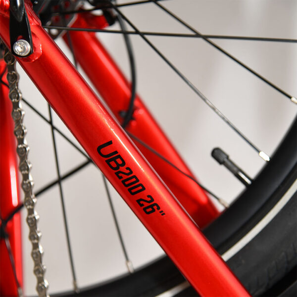 UB200 Rojo 8 Contexto